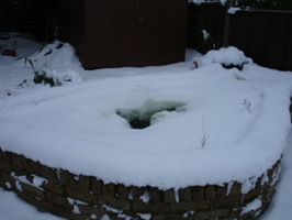 Pond detailed 5th January